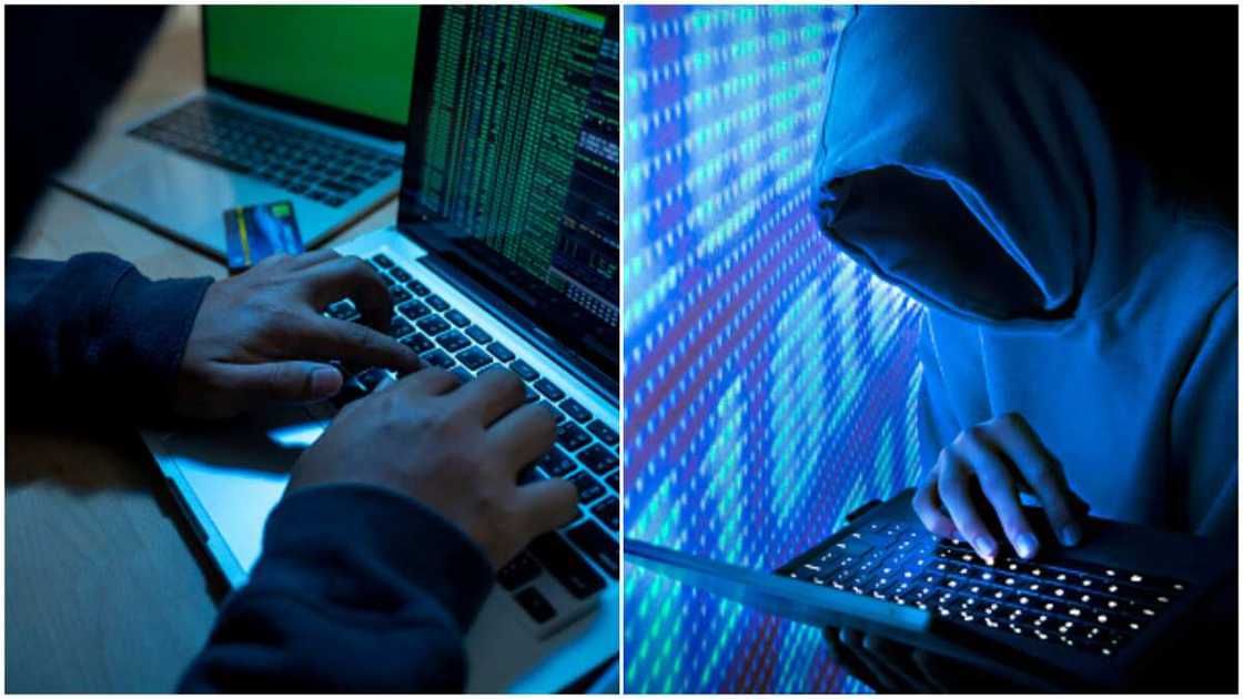 Crypto Thieves , Future of DeFi Crypto Thieves , Future of DeFi