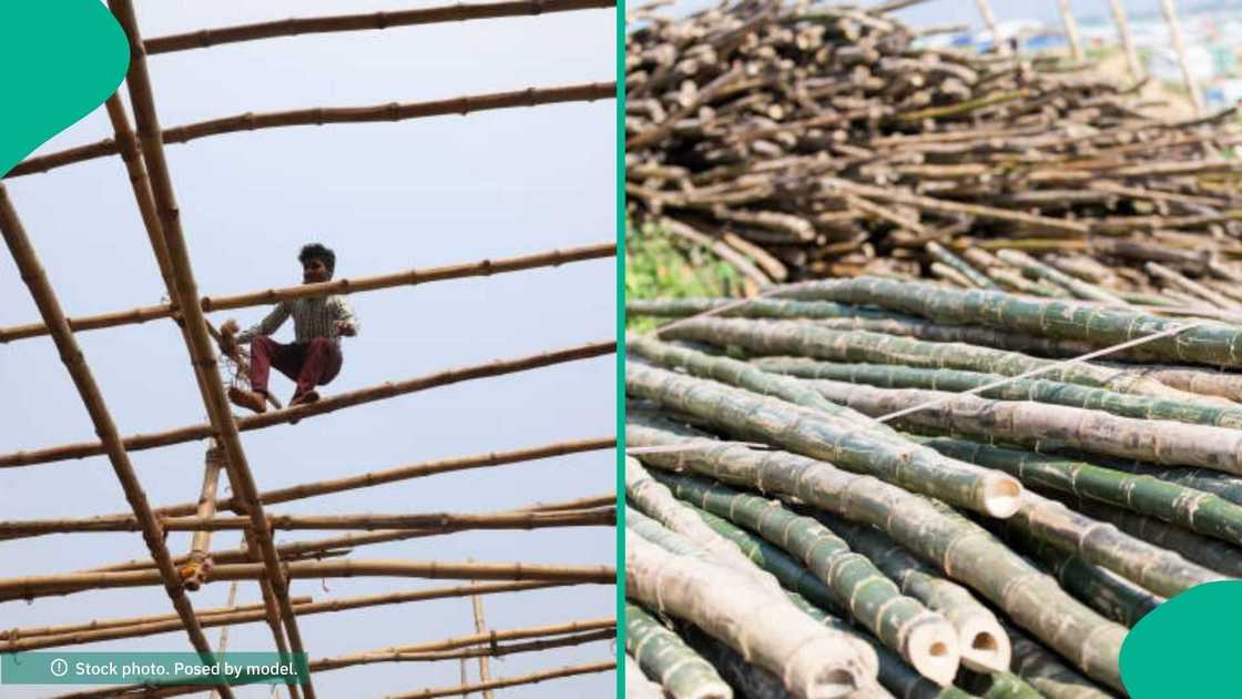 A conceptual bamboo smart home model proposed for low-income communities in Nigeria A conceptual bamboo smart home model proposed for low-income communities in Nigeria