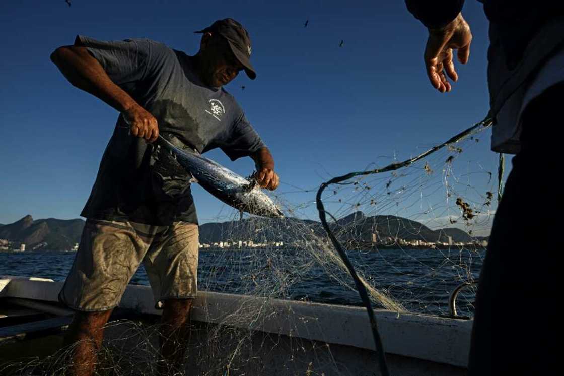 Fishermen ply the waters off Copacabana beach in Rio de Janeiro, Brazil Fishermen ply the waters off Copacabana beach in Rio de Janeiro, Brazil
