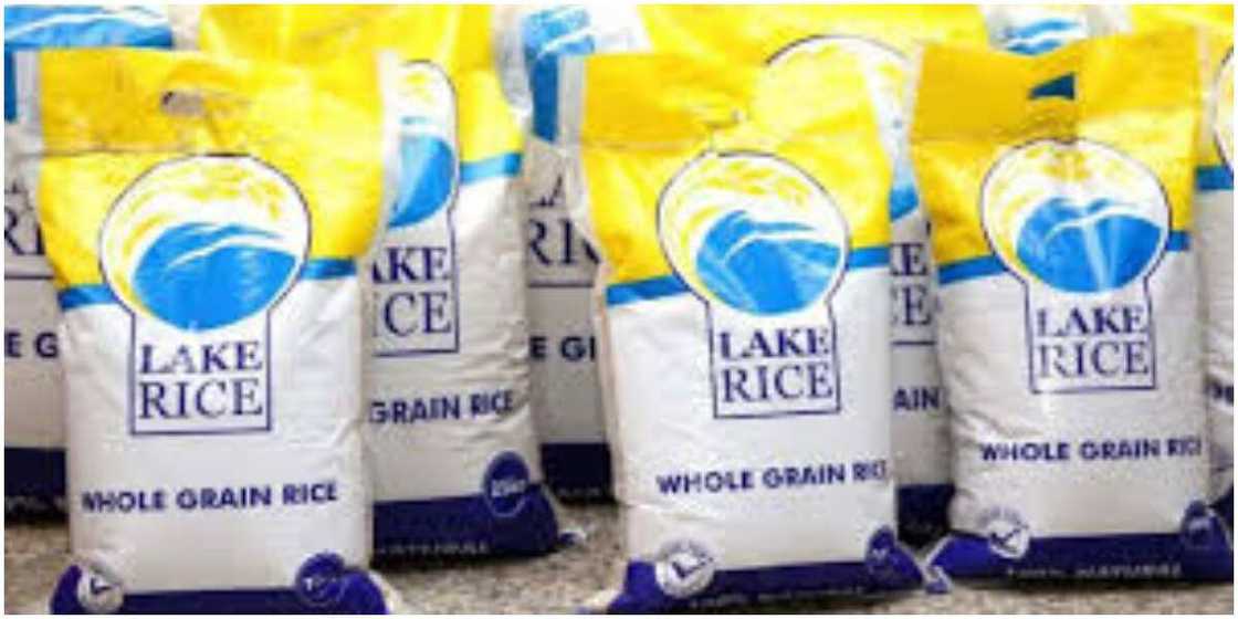Lagos State Building Rice Mill to Produce it's Own Lake Rice Lagos State Building Rice Mill to Produce it's Own Lake Rice