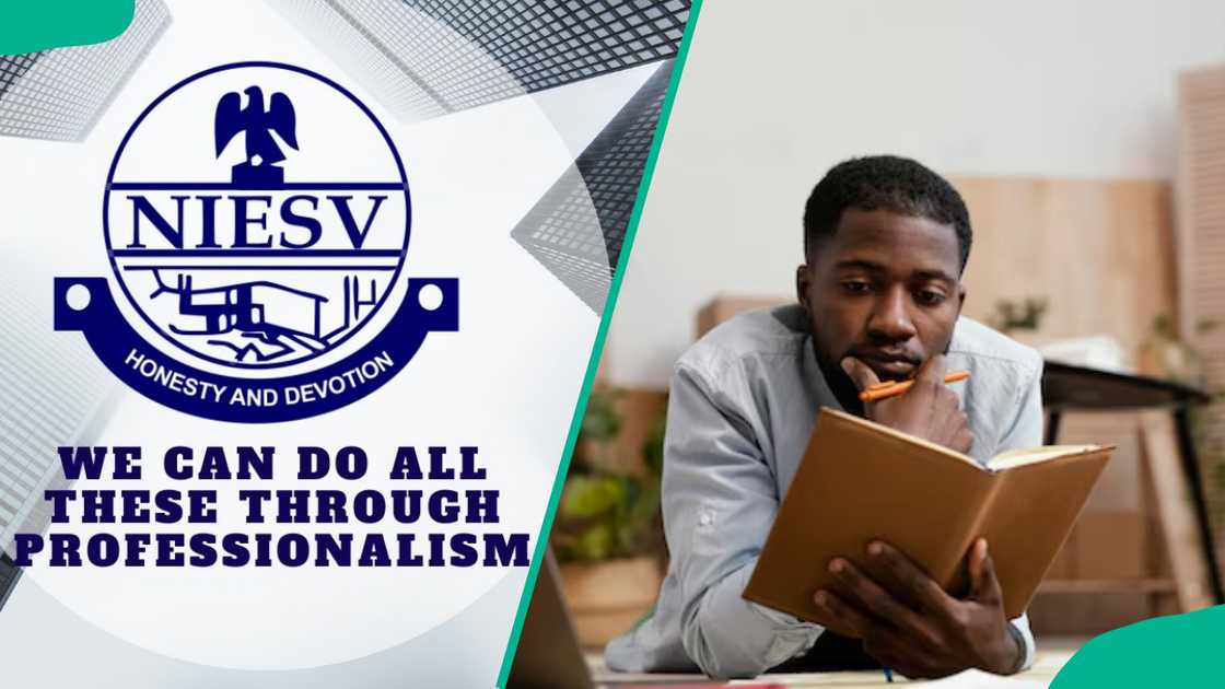 NIESV's logo and a student reading a book NIESV's logo and a student reading a book