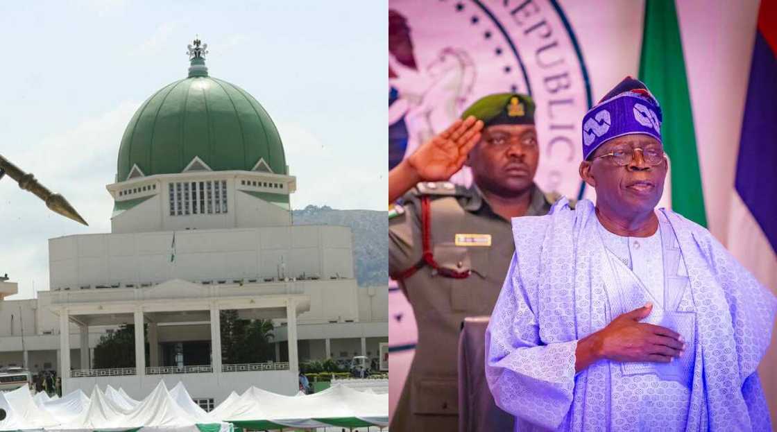Tinubu, Senate, Niger, Military Tinubu, Senate, Niger, Military