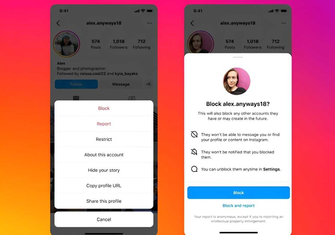 A screenshot of a blocked Instagram account A screenshot of a blocked Instagram account
