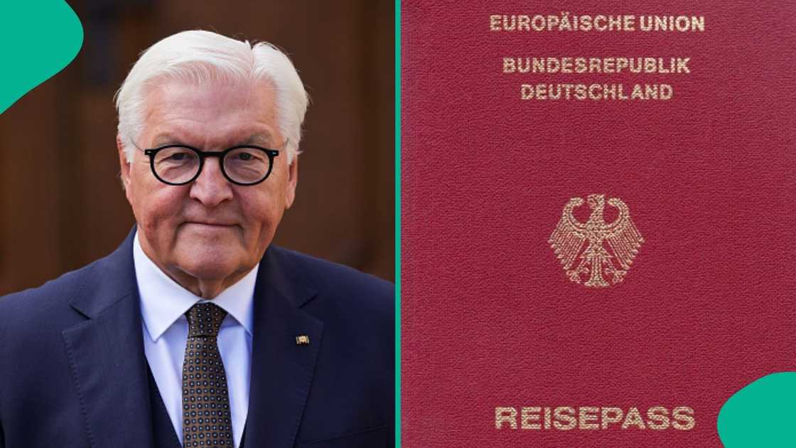 Germany publishes 6 categories of people who can apply for German citizenship without fee