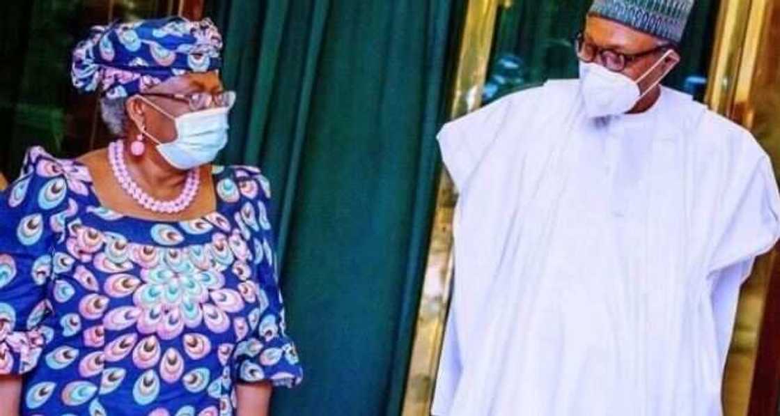 Zaben WTO: Ka taimaka ka yi min kamfen a wurin shugabannin duniya - NOI ta roki Buhari Zaben WTO: Ka taimaka ka yi min kamfen a wurin shugabannin duniya - NOI ta roki Buhari