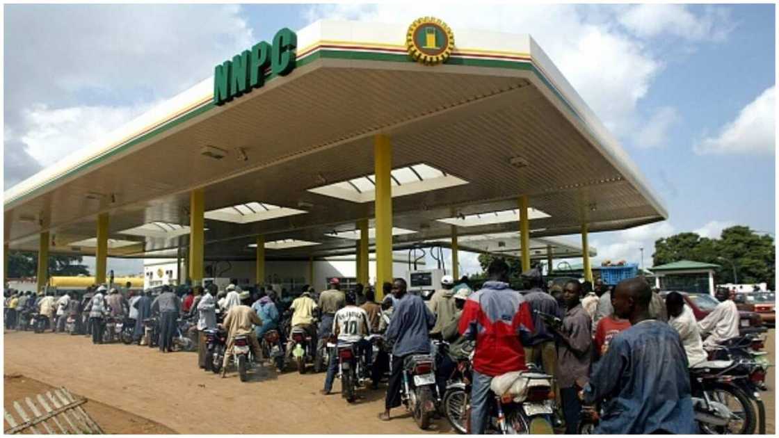 Petrol Price Hike: NLC Dares FG, Insists on national protest, vows to Shut Down Economy From February 1 Petrol Price Hike: NLC Dares FG, Insists on national protest, vows to Shut Down Economy From February 1