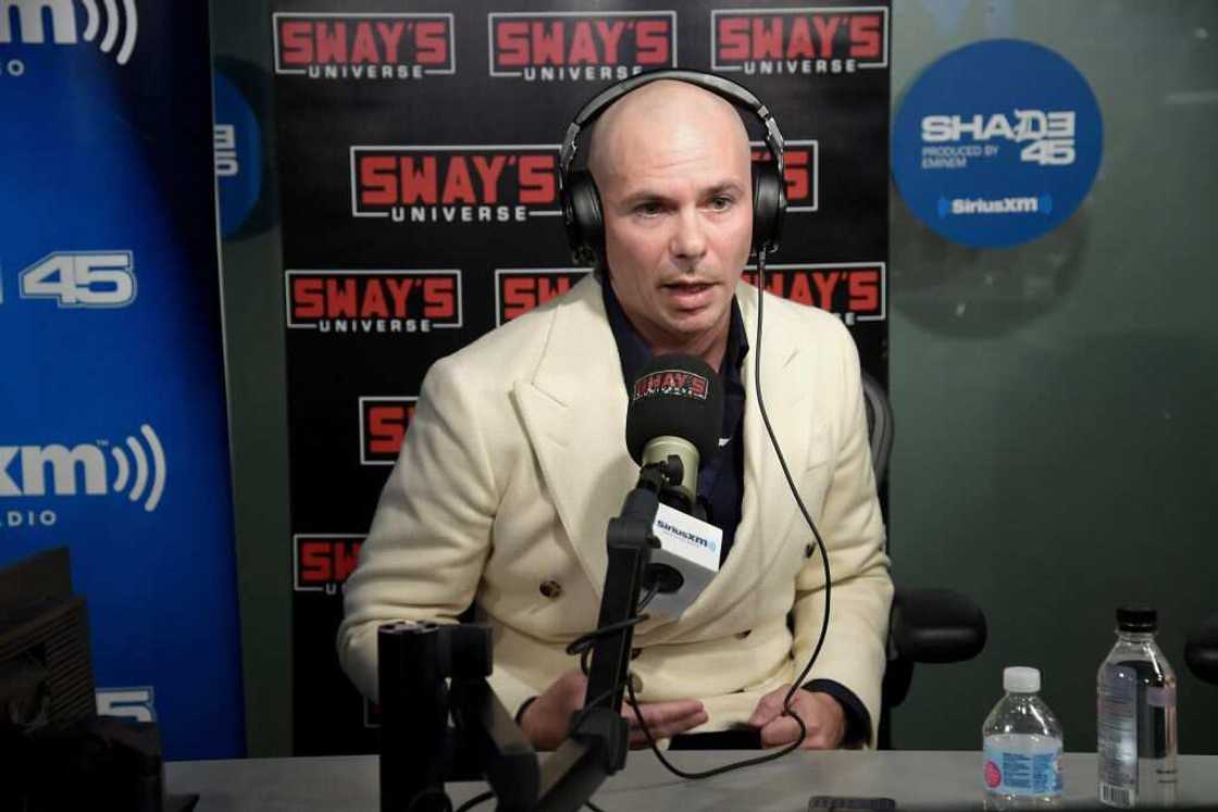Pitbull’s spouse Pitbull’s spouse