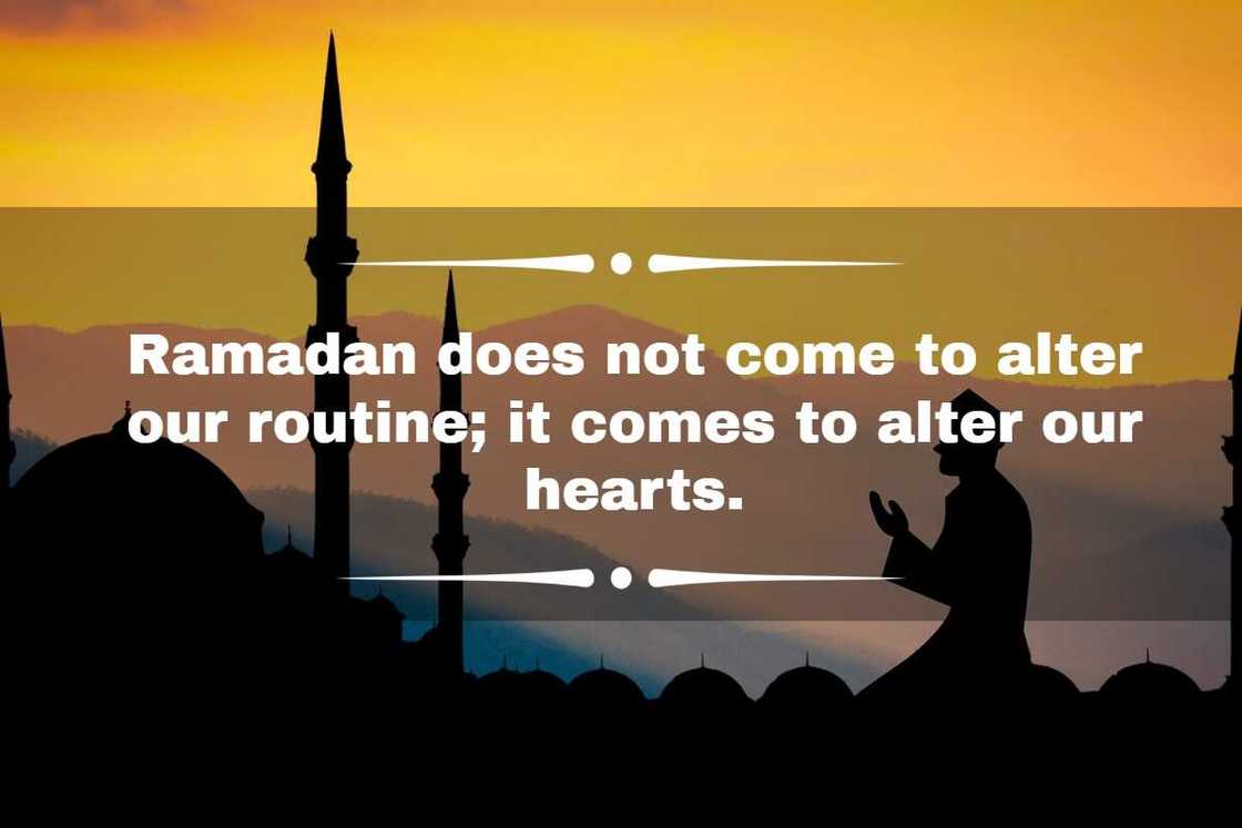 ramadan greetings to boss ramadan greetings to boss