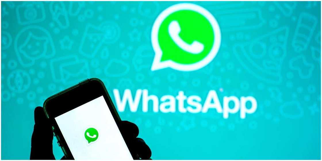 WhatsApp Users Face Restriction as Messaging App Releases Update WhatsApp Users Face Restriction as Messaging App Releases Update