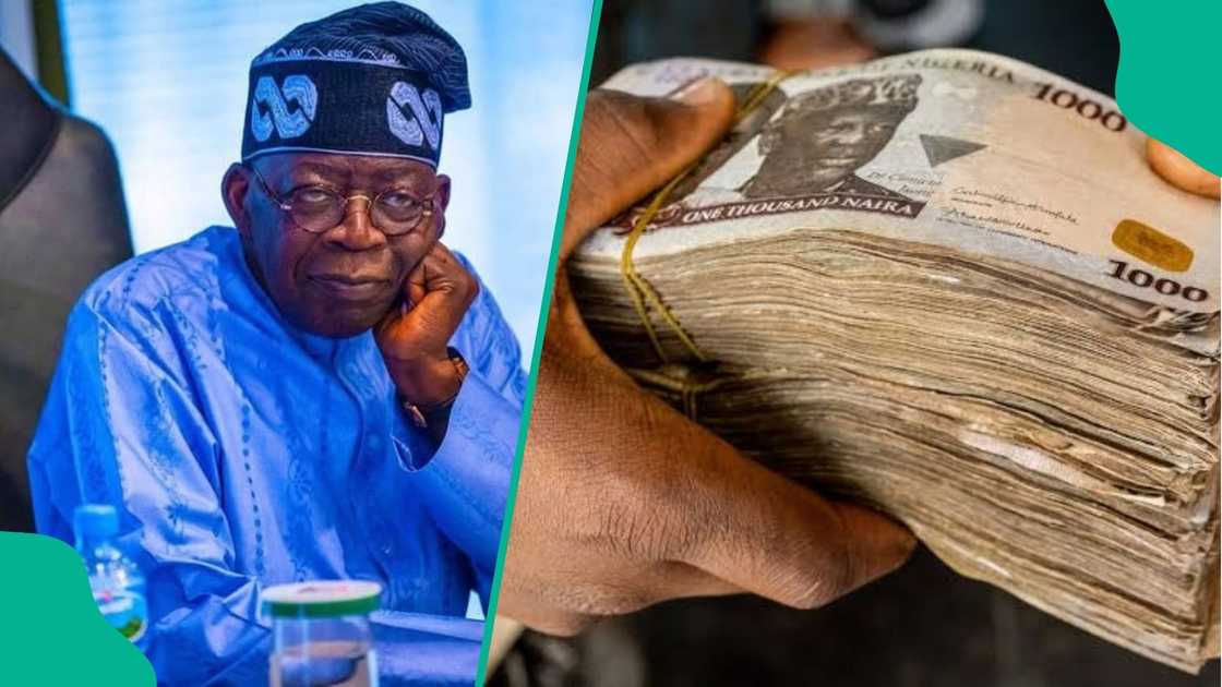 Auditor-General Demands Answers Over N33.75bn Paid to 3.29m Vulnerable Households Auditor-General Demands Answers Over N33.75bn Paid to 3.29m Vulnerable Households