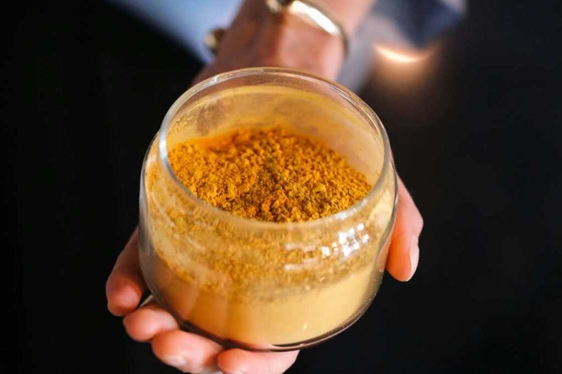 The new protein is dubbed 'solein' The new protein is dubbed 'solein'