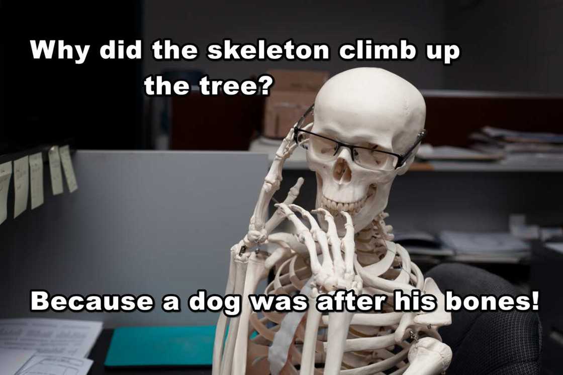 Bone jokes