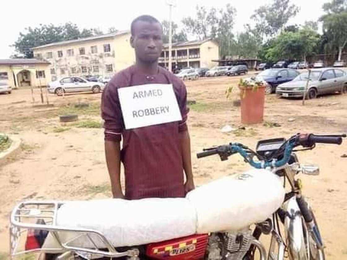 'Yan sanda sun damke 'yan fashi 7 da suka addabi jihar Adamawa (Hotuna)