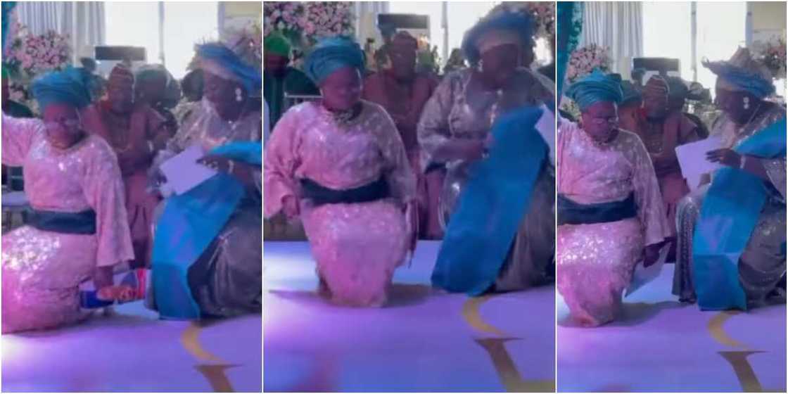 Wedding comperes Wedding comperes