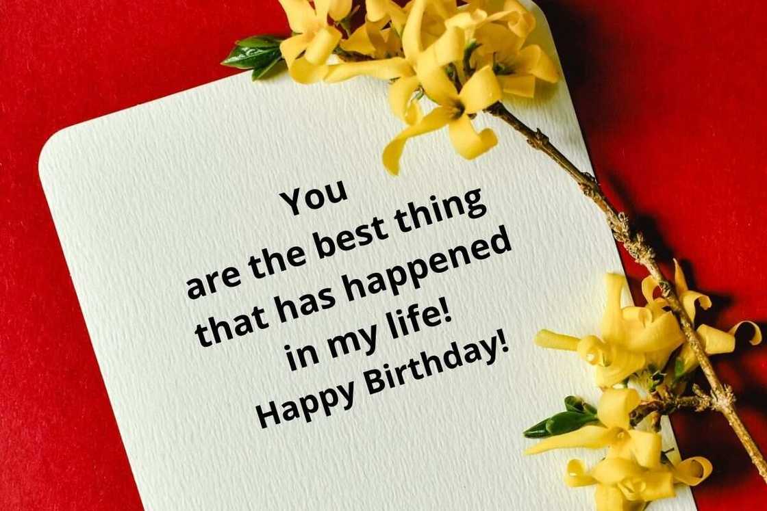 funny bday wish for a girlfriend funny bday wish for a girlfriend