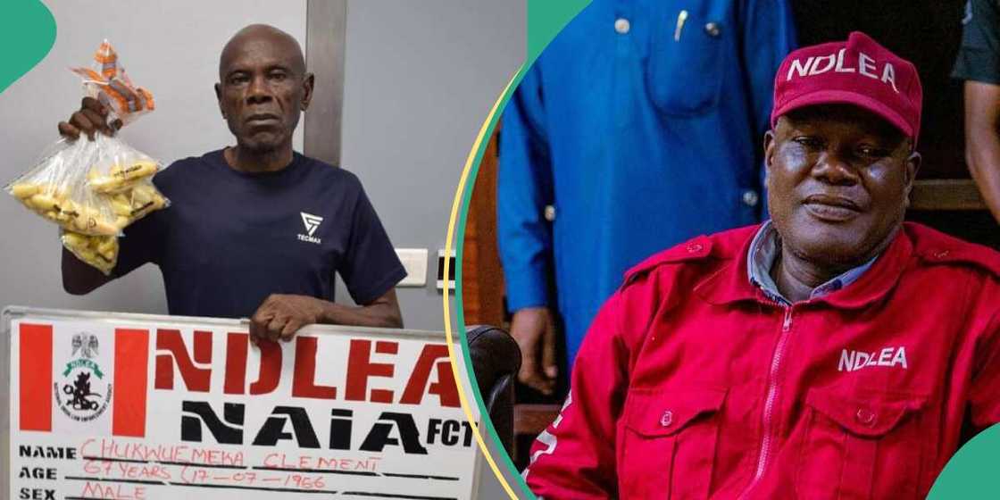 NDLEA/ndlea news tpoday NDLEA/ndlea news tpoday