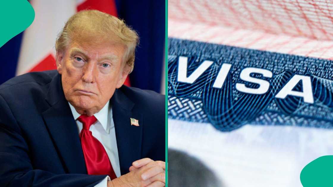 US lists 5 categories of foreigners exempt from partial visa restrictions