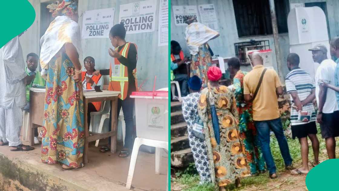 Polling unit voters collage/Edo state 2024 governorship election