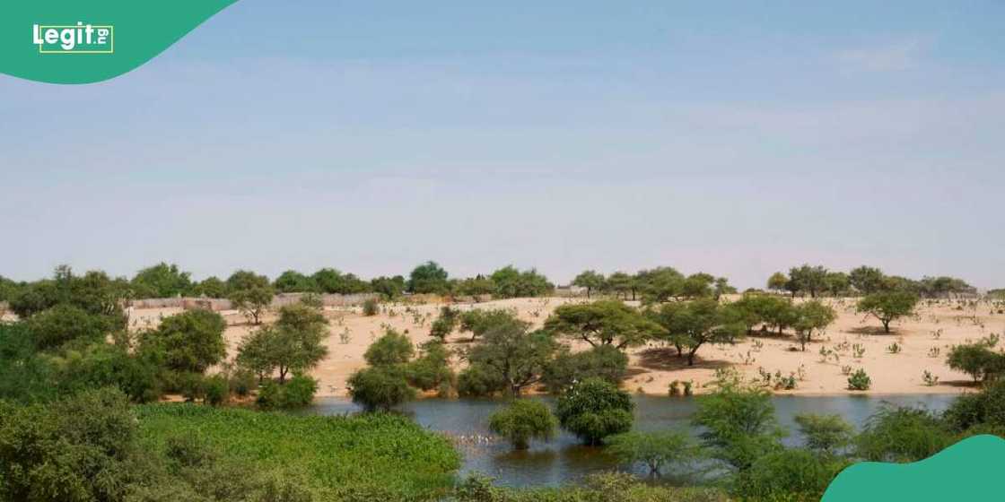 An kashe mayaka da dama yayin da fada ya kazanta tsakanin Boko Haram da ISWAP An kashe mayaka da dama yayin da fada ya kazanta tsakanin Boko Haram da ISWAP