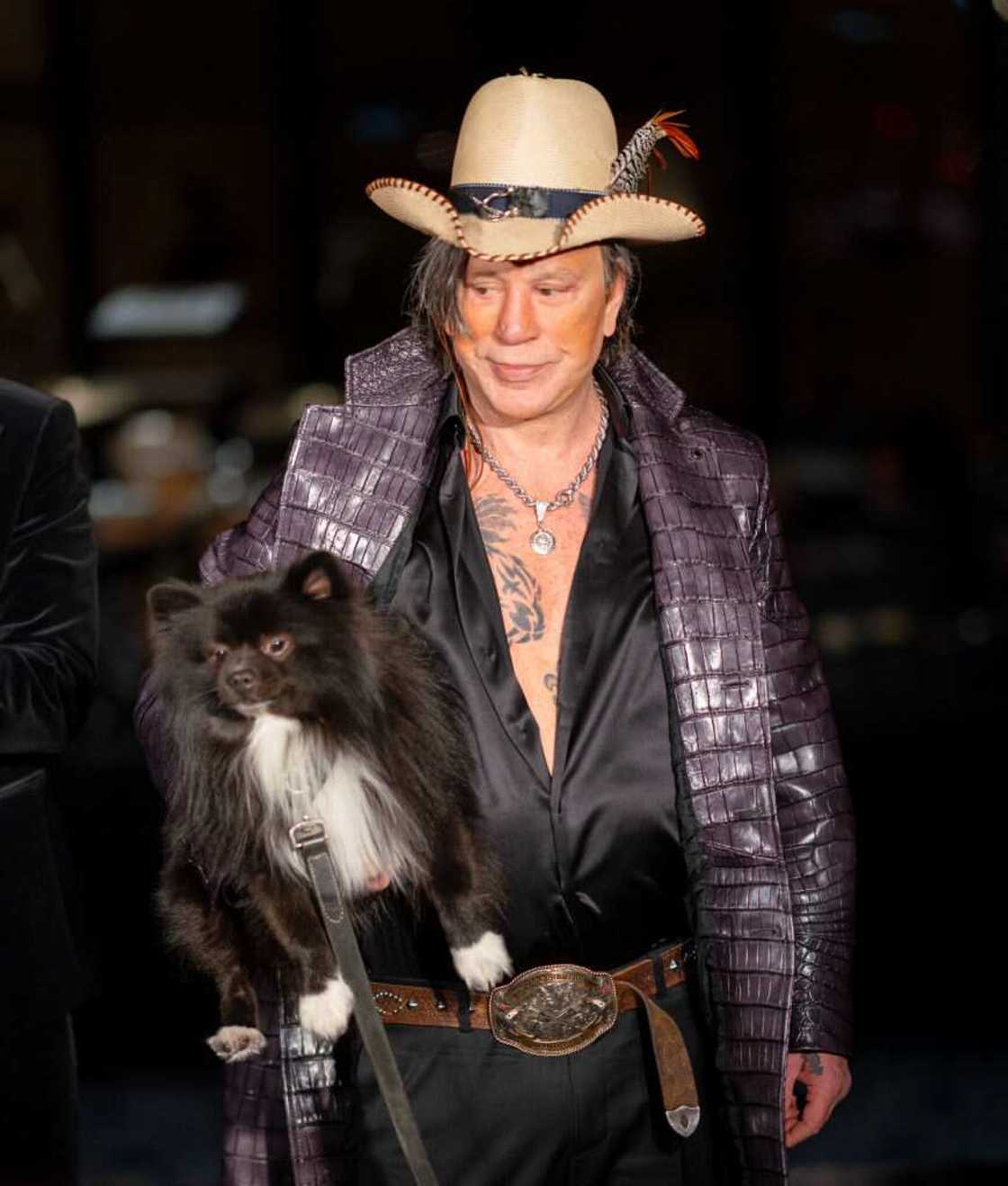 Mickey Rourke's net worth Mickey Rourke's net worth