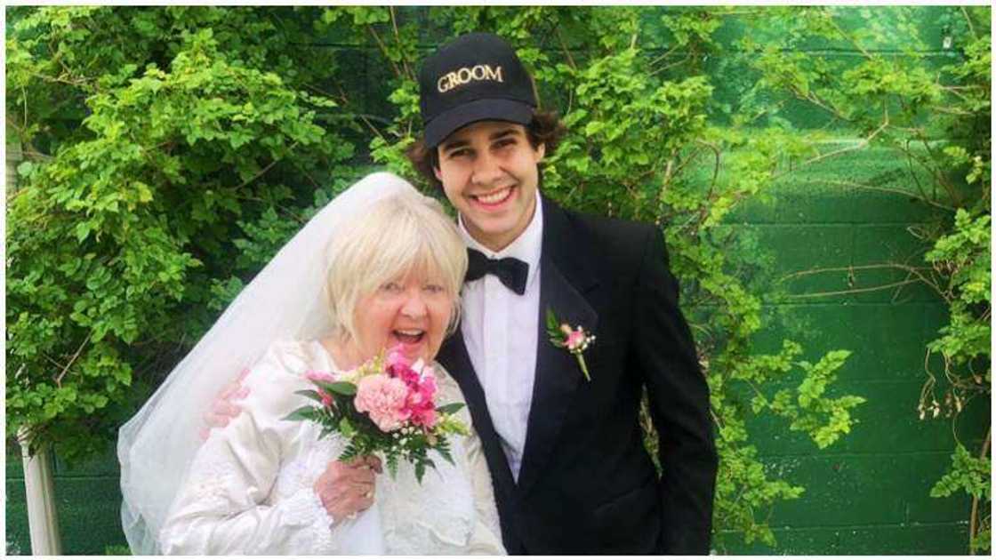 David Dobrik wife David Dobrik wife