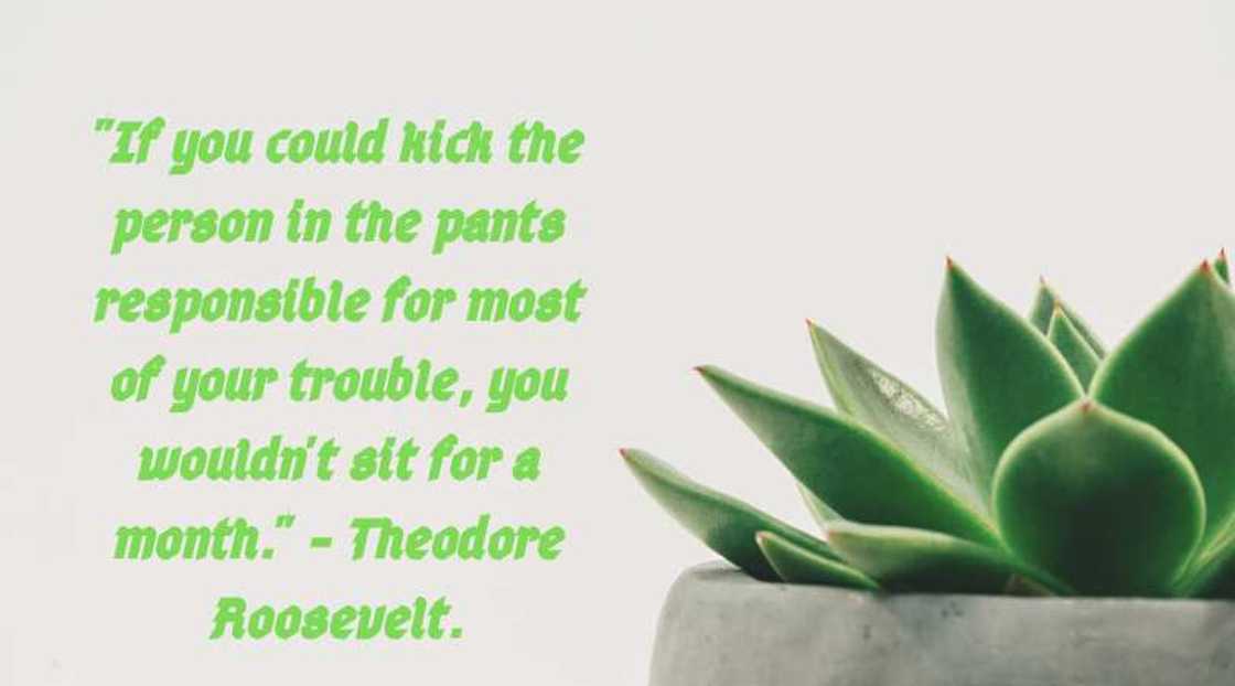 Funny quotes and sayings Funny quotes and sayings