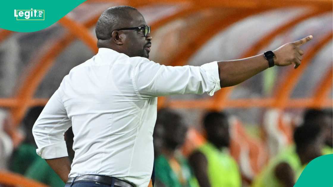 Thierry Mouyouma, Panthers, Gabon, Super Eagles, Nigeria, World Cup playoff. Thierry Mouyouma, Panthers, Gabon, Super Eagles, Nigeria, World Cup playoff.