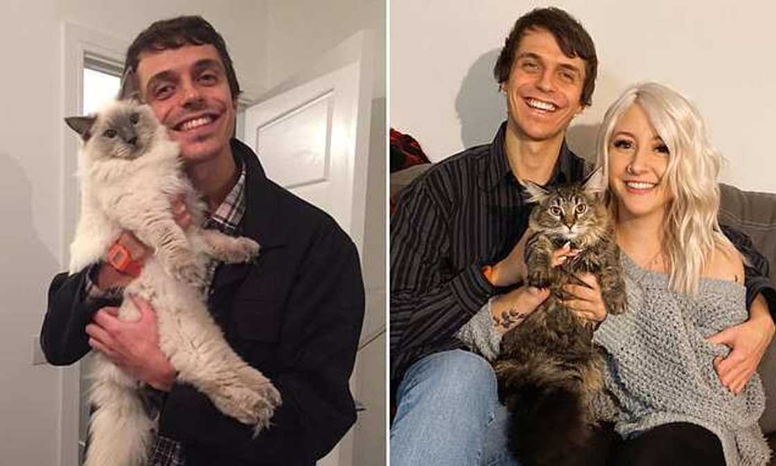 Anna said she did not believe she would meet someone so handsome on a group that is meant to talk about cats. Photo source: DailyMail Anna said she did not believe she would meet someone so handsome on a group that is meant to talk about cats. Photo source: DailyMail