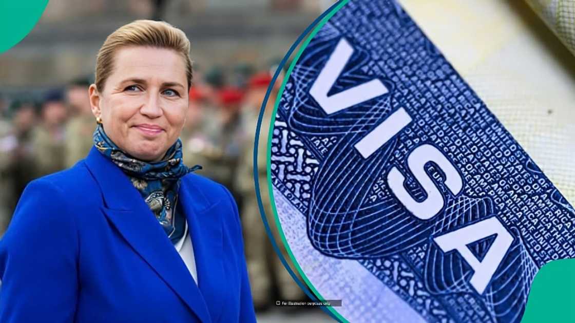Denmark names companies certified to hire foreign labour