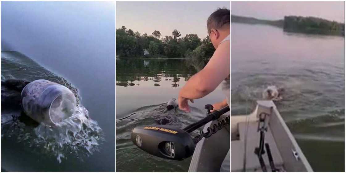 Brave boaters save bear cub from drowning by pulling plastic container off its head Brave boaters save bear cub from drowning by pulling plastic container off its head
