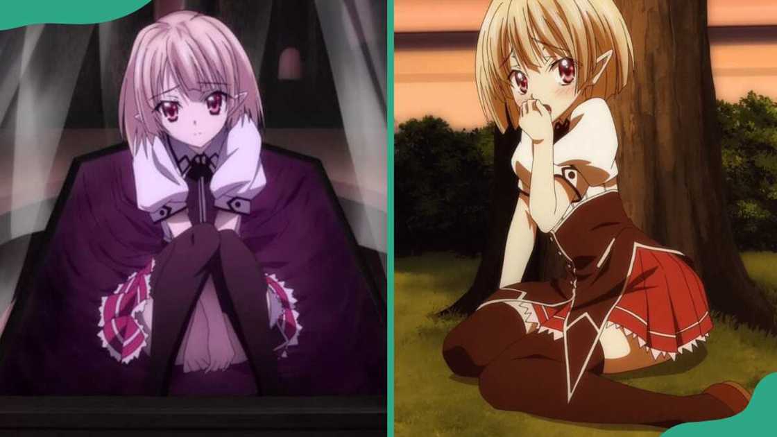 Gasper Vladi from the High School DxD series Gasper Vladi from the High School DxD series