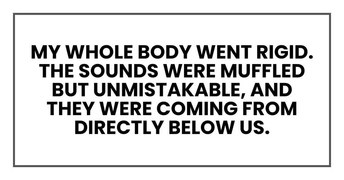 My whole body went rigid. The sounds were muffled but unmistakable, and they were coming from directly below us. My whole body went rigid. The sounds were muffled but unmistakable, and they were coming from directly below us.