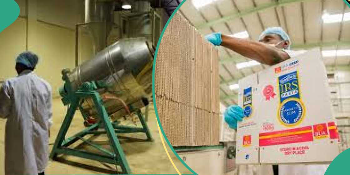 OANDO Plc, BUA Foods, Honeywell Flour Mills, among other Nigerian companies record increased debts in 2024. OANDO Plc, BUA Foods, Honeywell Flour Mills, among other Nigerian companies record increased debts in 2024.