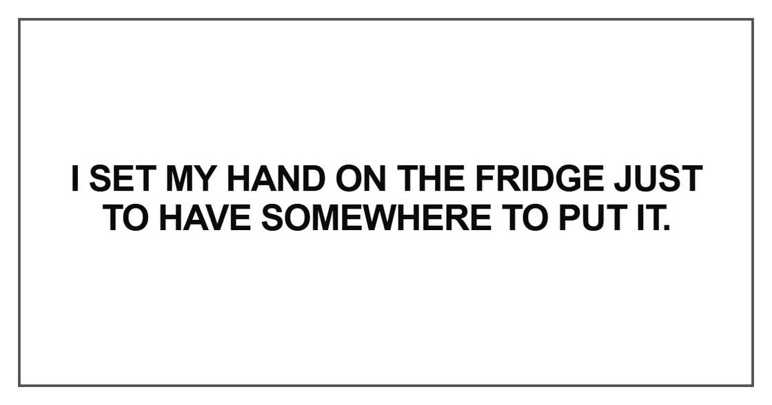 I set my hand on the fridge I set my hand on the fridge