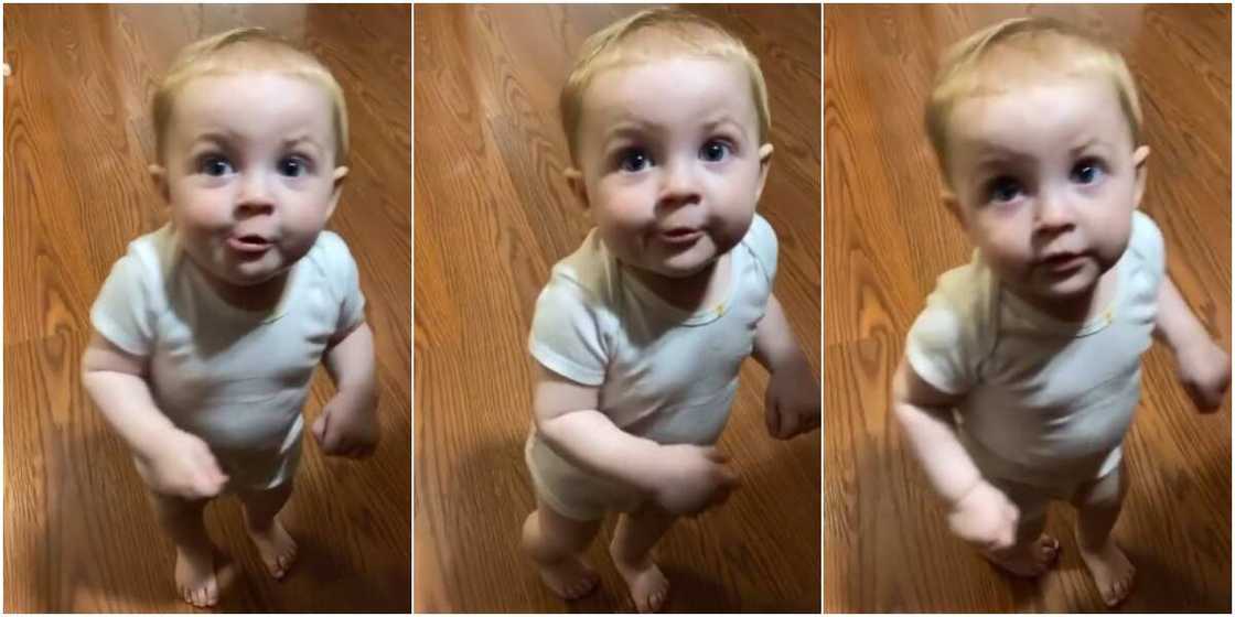 Moment toddler tries to tell his mum 'who let the dogs out' sends social media into frenzy, see how he said those words Moment toddler tries to tell his mum 'who let the dogs out' sends social media into frenzy, see how he said those words