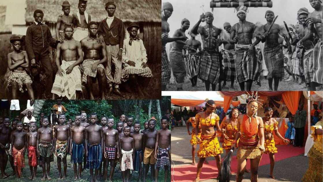 Igbo people. Photo: @ohafrikans, @igboamaaka, @Afrika Arise, @cityoflibertychurch (modified by author) Igbo people. Photo: @ohafrikans, @igboamaaka, @Afrika Arise, @cityoflibertychurch (modified by author)