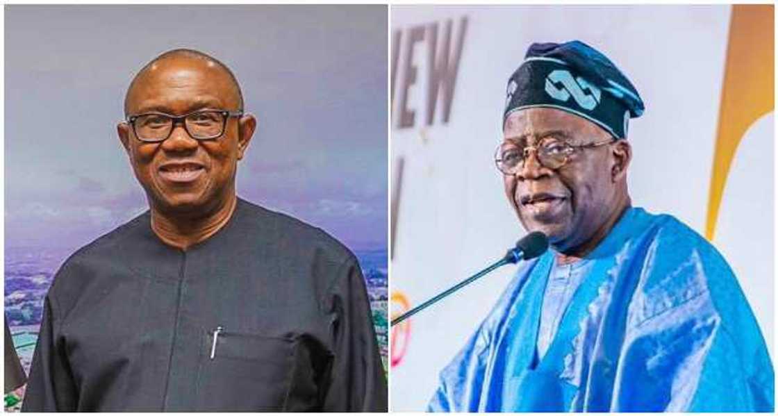 Bola Tinubu/Peter Obi/APC/Labour Party/2023 presidential election Bola Tinubu/Peter Obi/APC/Labour Party/2023 presidential election