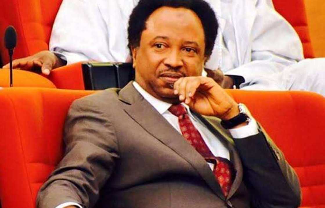 Sanata Shehu Sani Sanata Shehu Sani