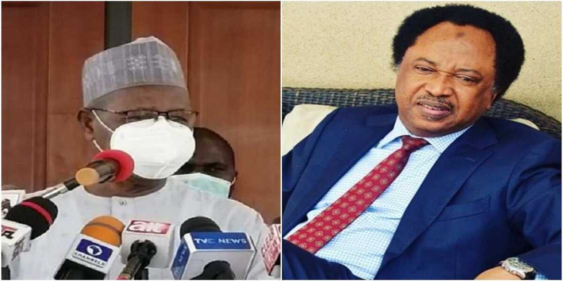 Shehu Sani ya caccaki Masari a kan bai wa tubabbun 'yan bindiga gidaje da gonaki da zai yi Shehu Sani ya caccaki Masari a kan bai wa tubabbun 'yan bindiga gidaje da gonaki da zai yi
