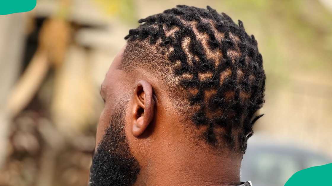 Medium-length natural dreads for men