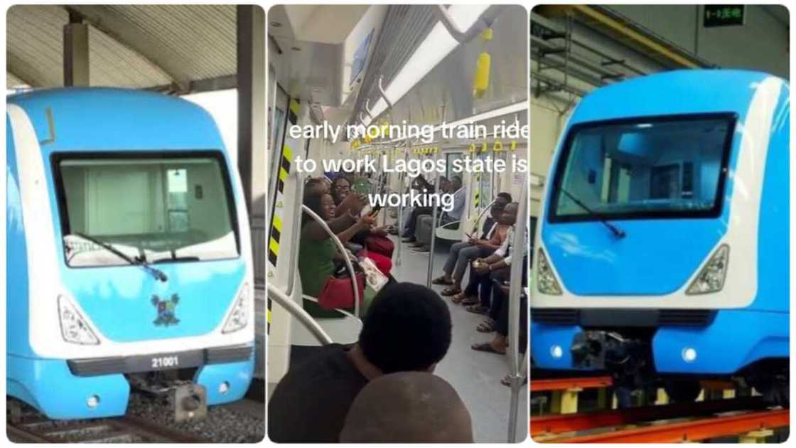 Photo of blue rail line Photo of blue rail line