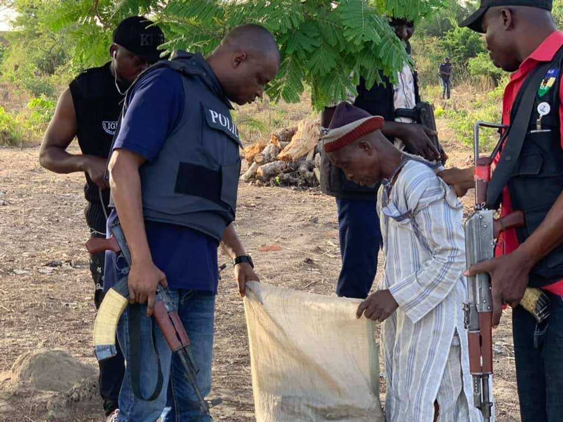 Abba Kyari, team storm bushes along Abuja-Kaduna expressway to hunt kidnappers, bandits (photo) Abba Kyari, team storm bushes along Abuja-Kaduna expressway to hunt kidnappers, bandits (photo)