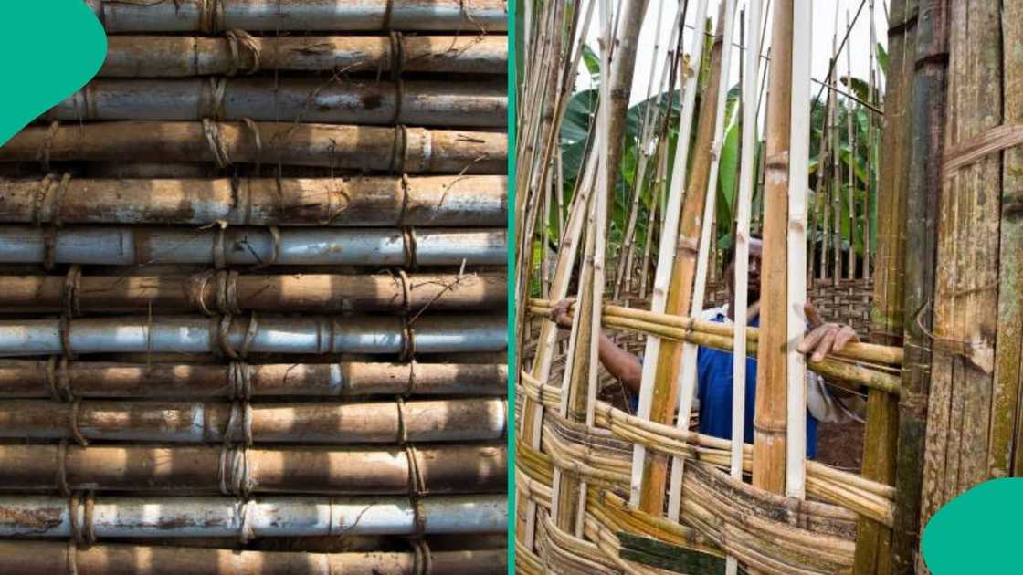 A bamboo construction frame, illustrating Nigeria's proposed material for affordable housing A bamboo construction frame, illustrating Nigeria's proposed material for affordable housing