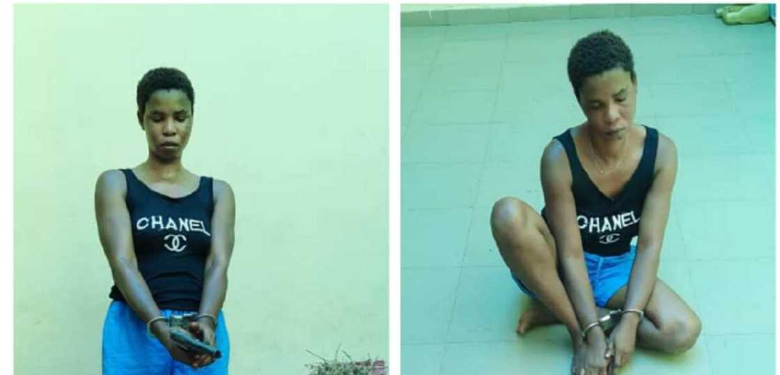 Hotunan wata mata da aka kama da bindiga da harsashi da muggan kwayoyi a Delta Hotunan wata mata da aka kama da bindiga da harsashi da muggan kwayoyi a Delta