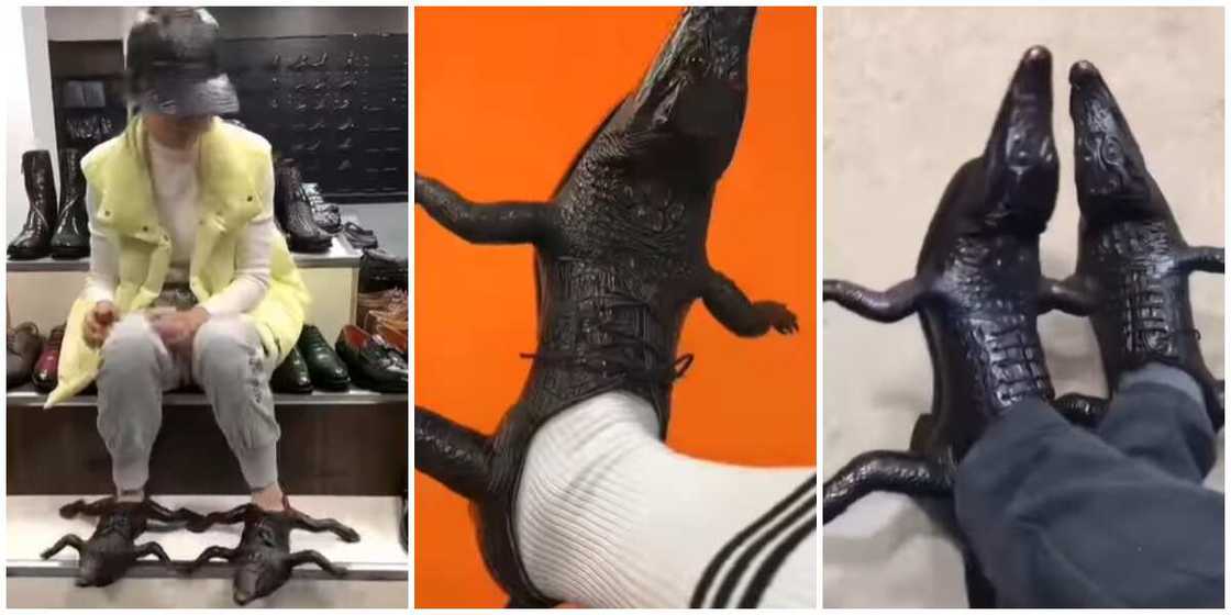 Photos of crocodile shoes. Photos of crocodile shoes.