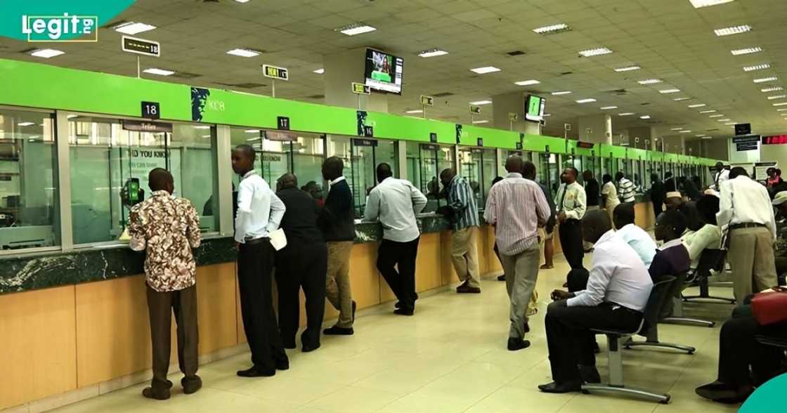 From business plan to board: 10 things CBN requires from MFB owners From business plan to board: 10 things CBN requires from MFB owners