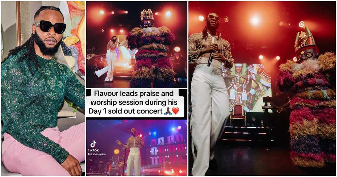 Singer Flavour Singer Flavour