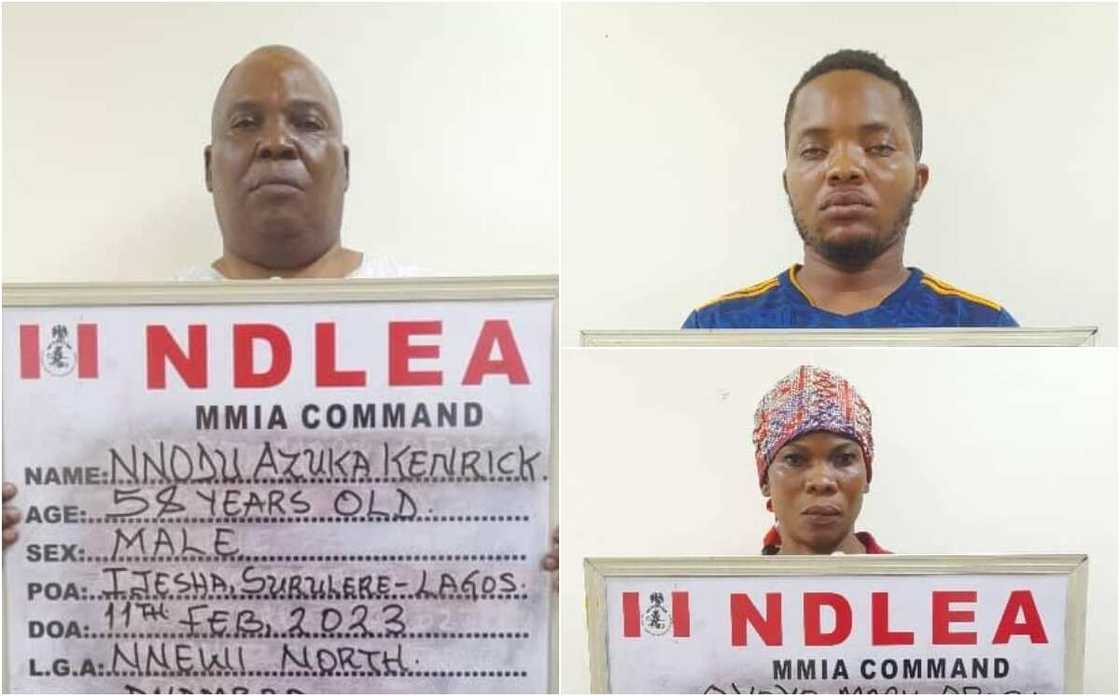 NDLEA, G.O NDLEA, G.O