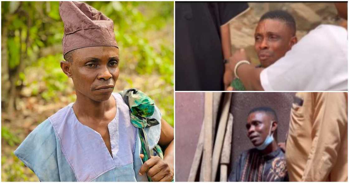 Sisi Quadri Sisi Quadri