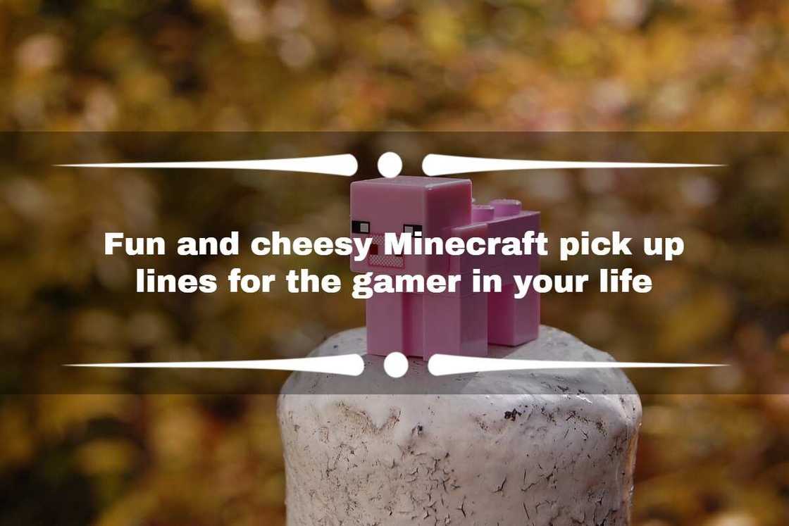 Minecraft pick up lines